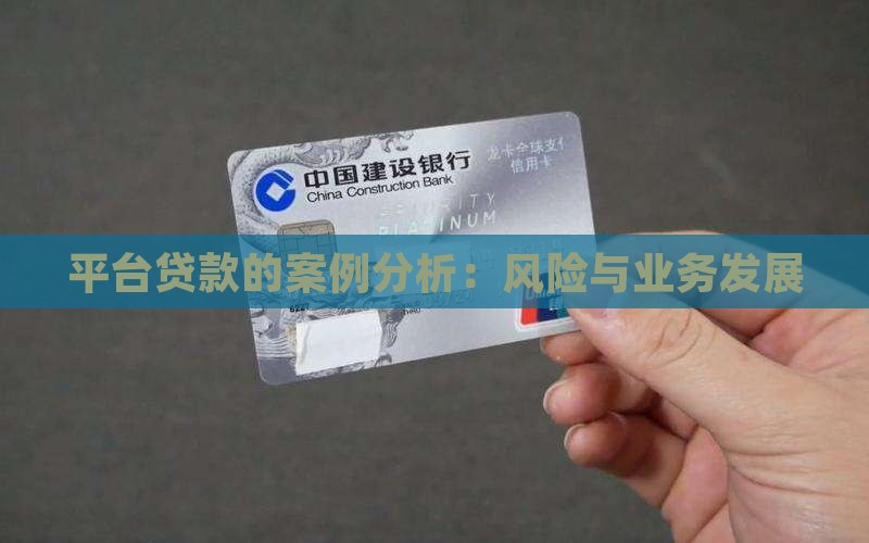 平台贷款的案例分析