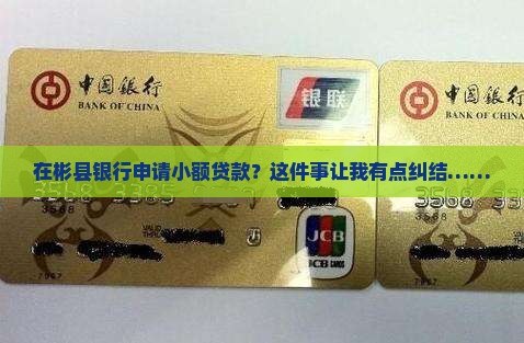 彬县银行小额贷款申请