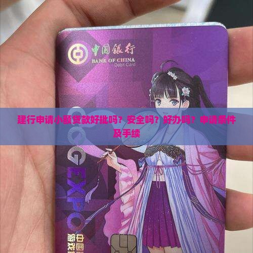 建行申请小额贷款好批吗