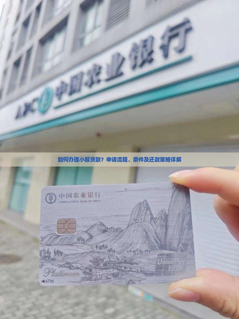 小额贷款本怎么办
