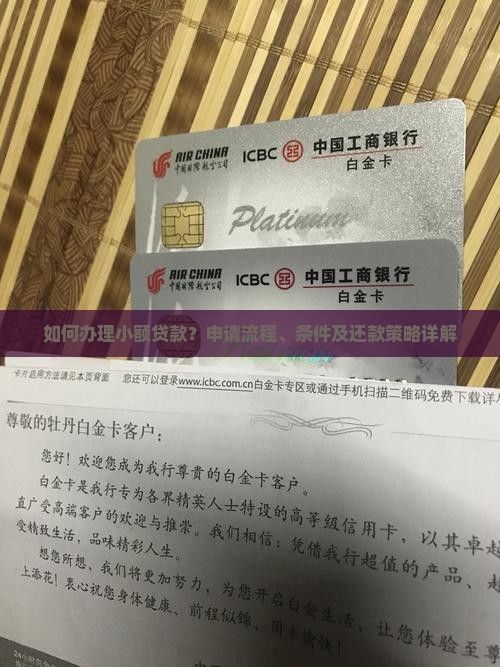 小额贷款本怎么办