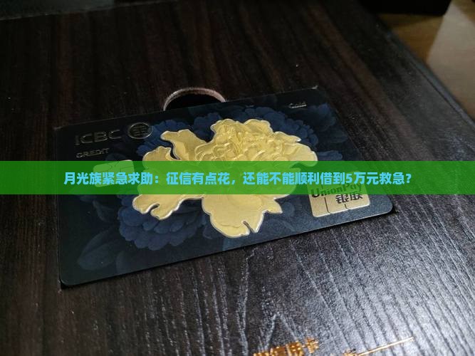 征信很花能借的贷款