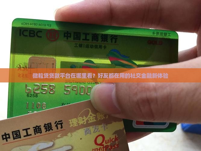 微粒贷贷款平台在哪里看