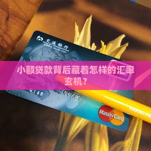 小额贷款的汇率是多少