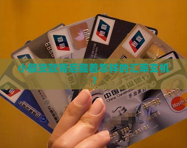 小额贷款的汇率是多少