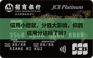 小额贷款信用分