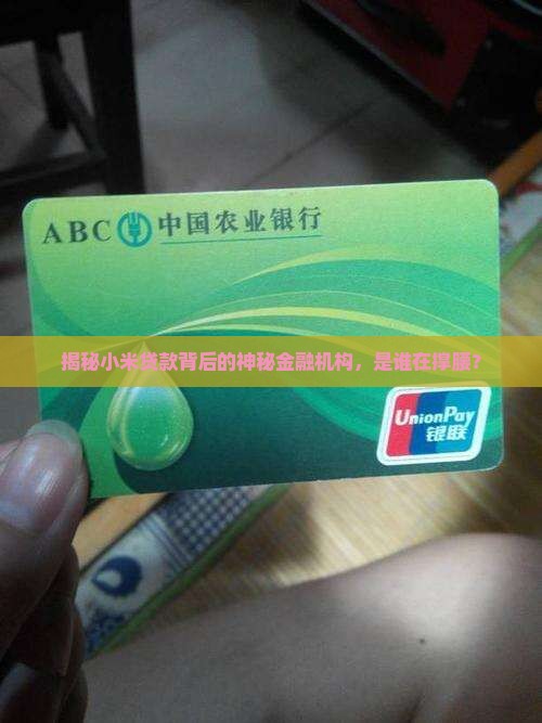 小米贷款的金融机构是