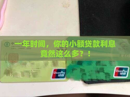 小额贷款一年利息