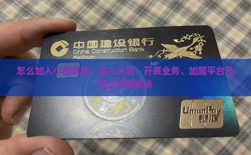 怎么加入小额贷款