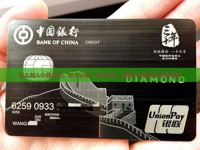怎么加入小额贷款