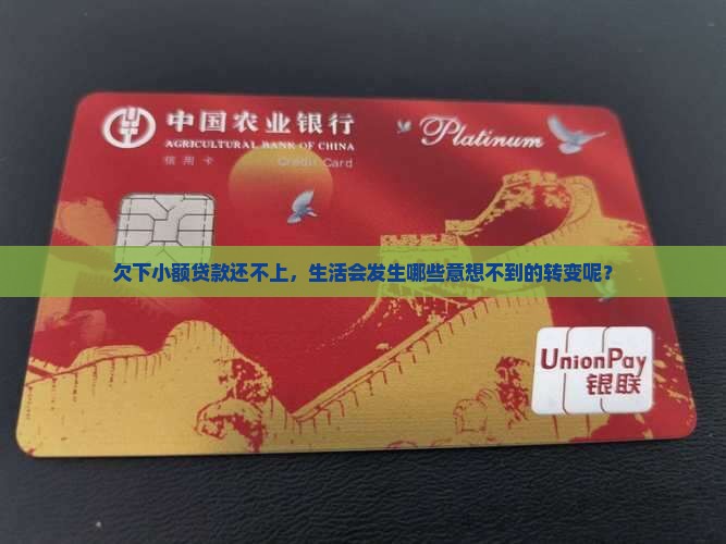 小额贷款还不上会什么样
