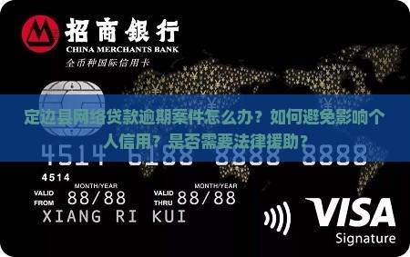定边县网络贷款逾期案件