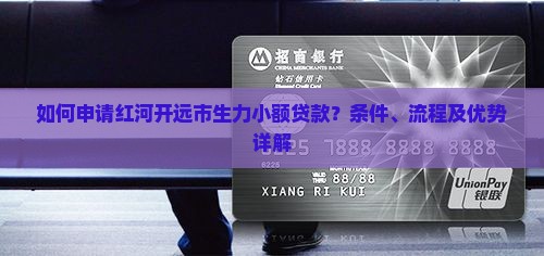 开远生力小额贷款