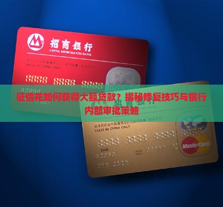 征信花哪个可以大额贷款
