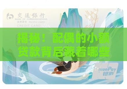 小额贷款配偶信息
