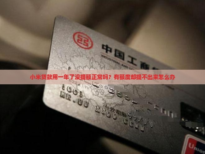 小米贷款用一年了没提额 小米贷款用一年了没提额
