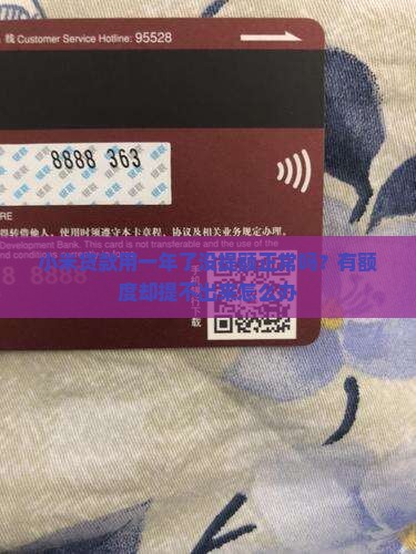 小米贷款用一年了没提额 小米贷款用一年了没提额