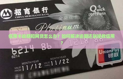 当前有信用卡和贷款逾期