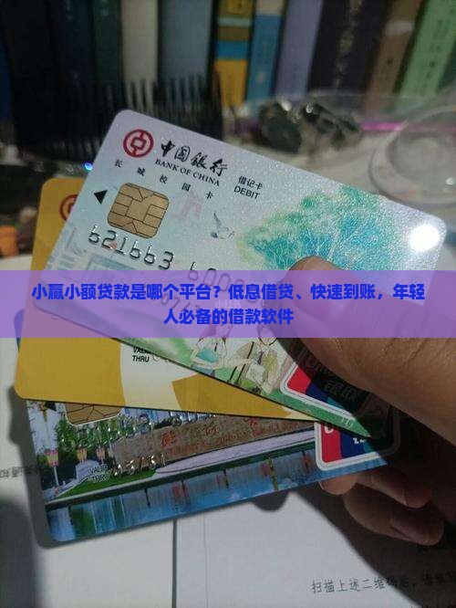 小赢小额贷款是哪个平台