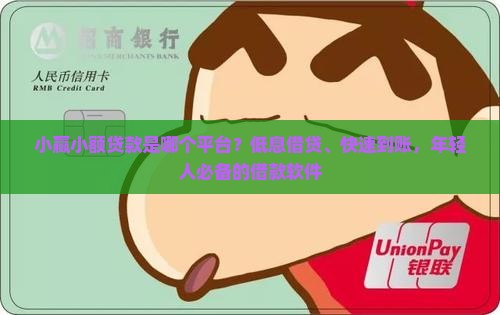 小赢小额贷款是哪个平台