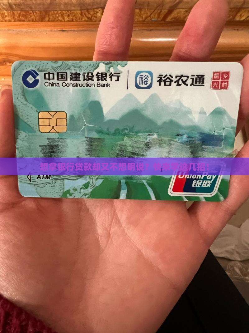 如何回避银行贷款的用途