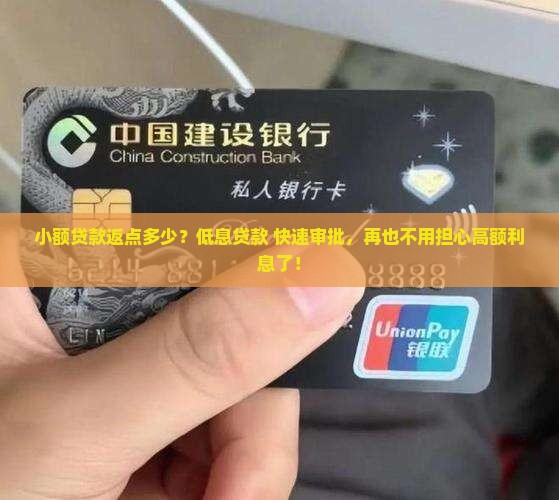 小额贷款返点多少