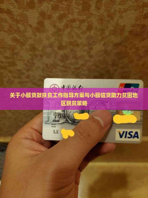 小额贷款扶贫指导 小额贷款扶贫指导