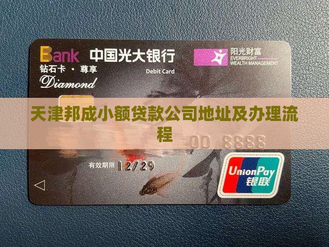 天津邦成小额贷款