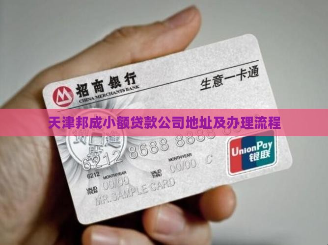天津邦成小额贷款