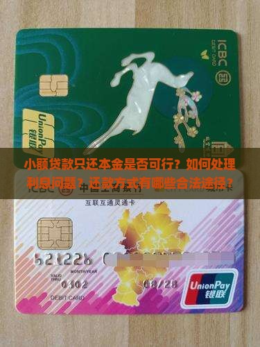 小额贷款只还本金行吗