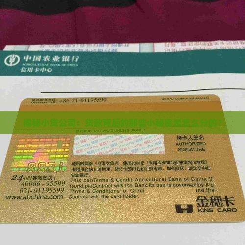 小贷公司贷款怎么分