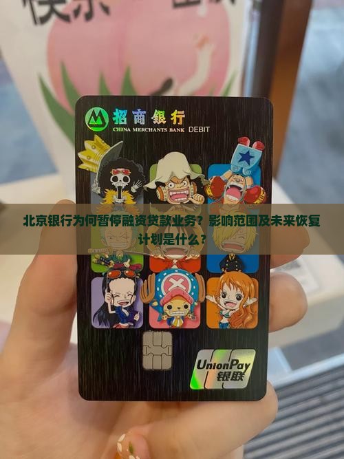 北京银行暂停融资贷款
