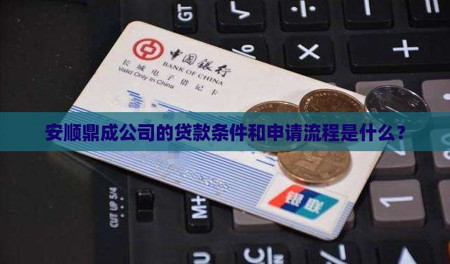 安顺鼎成公司贷款