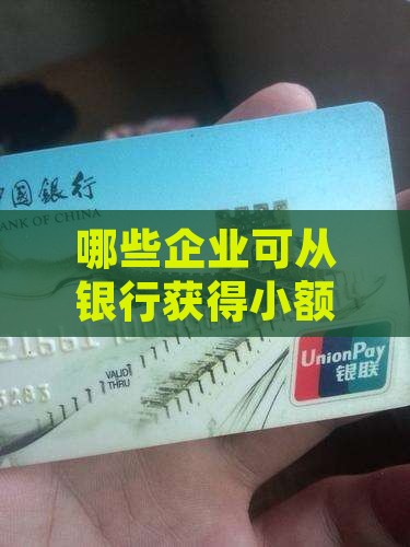 哪些企业能小额贷款银行