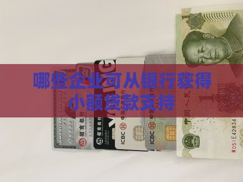 哪些企业能小额贷款银行