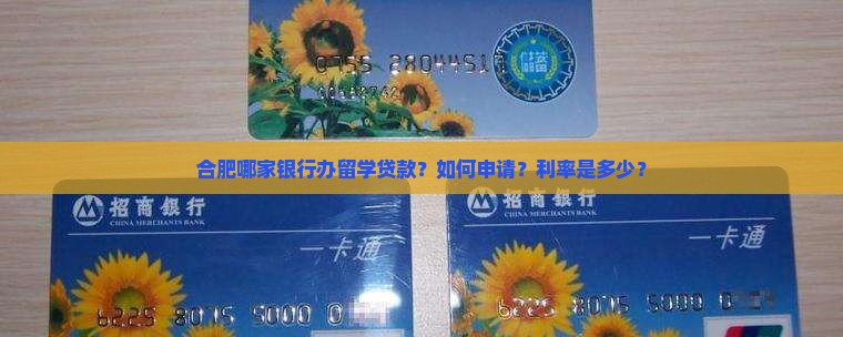 合肥哪家银行办留学贷款