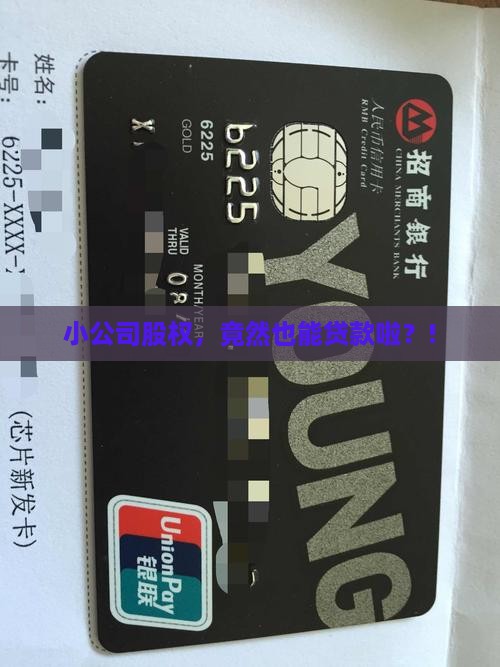 小公司股权可以贷款