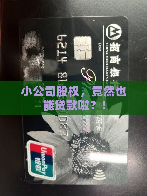 小公司股权可以贷款