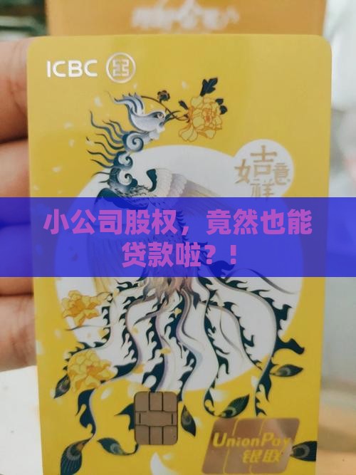 小公司股权可以贷款