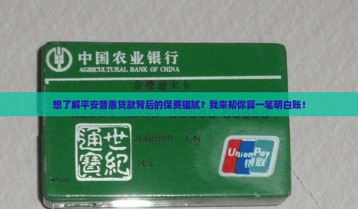平安普惠贷款保费是多少