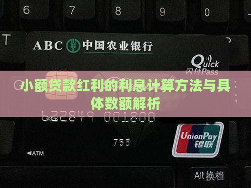 小额贷款红利的利息