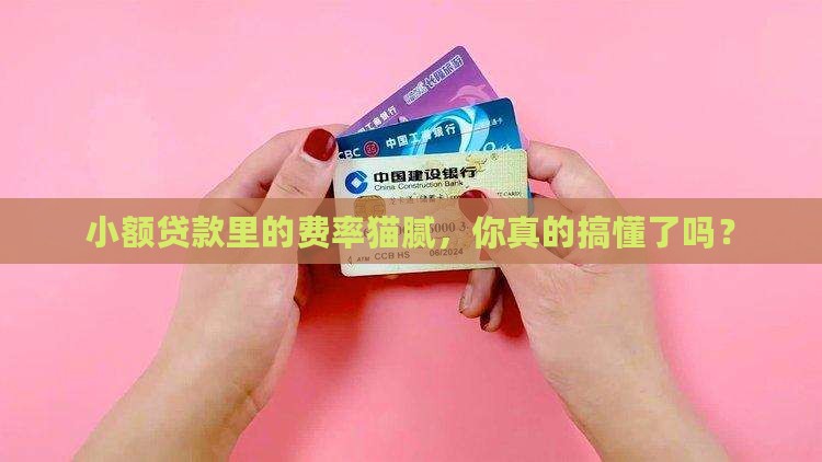 小额贷款费率是什么意思