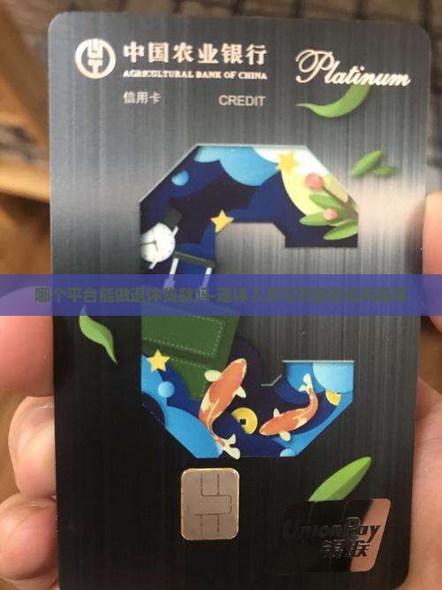 哪个平台能做退休贷款吗