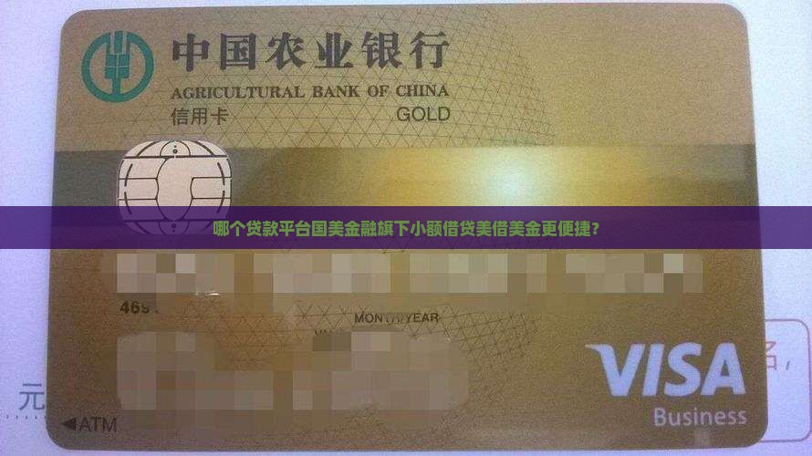 哪个贷款平台有美借