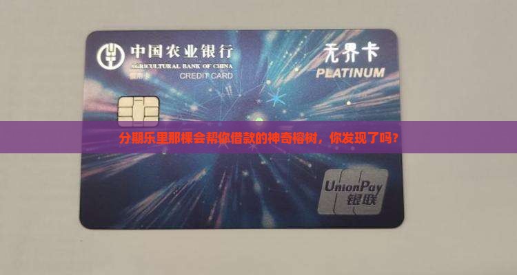 分期乐里的榕树贷款