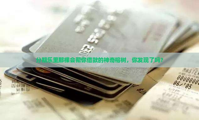 分期乐里的榕树贷款