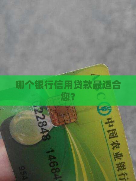哪个信用贷款