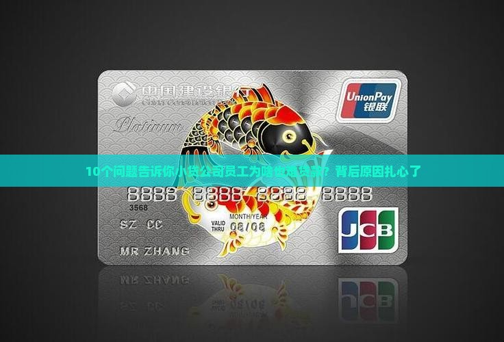 小贷公司员工申请贷款