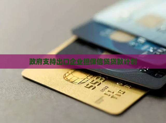 出口贸易公司担保贷款