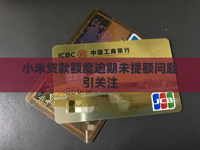 小米贷款好久不提额了